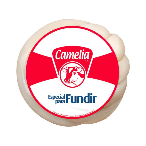 QUESO PARA FUNDIR 3 KG CAMELIA